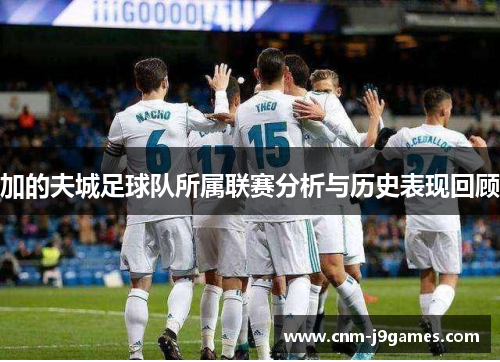 加的夫城足球队所属联赛分析与历史表现回顾