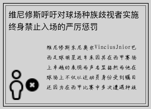 维尼修斯呼吁对球场种族歧视者实施终身禁止入场的严厉惩罚 维尼修斯呼吁对球场种族歧视者实施终身禁止入场的严厉惩罚